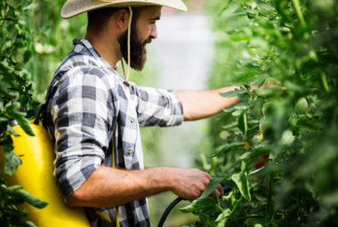 Natural Pesticide