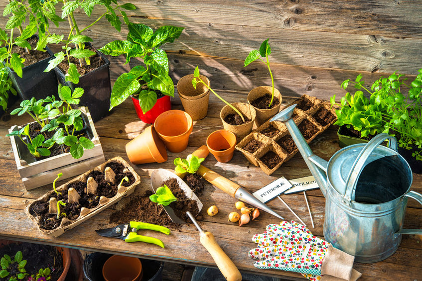 Container garden