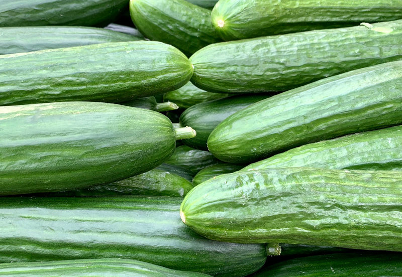 Growing Cucumbers At Home