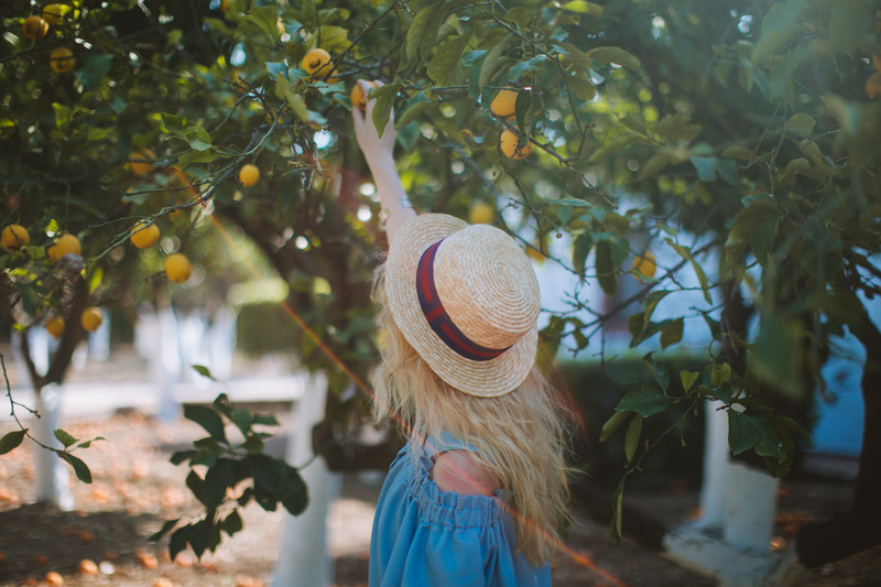 Growing Lemons At Home